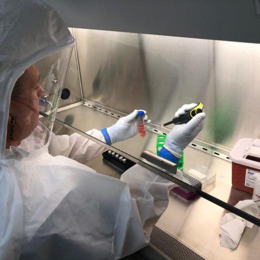 UofL Research COVID-19